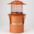 Chimsoc Birdguard Chimney Cowl Solid Fuel Stainless Steel with Collar (Terracotta) - view 2